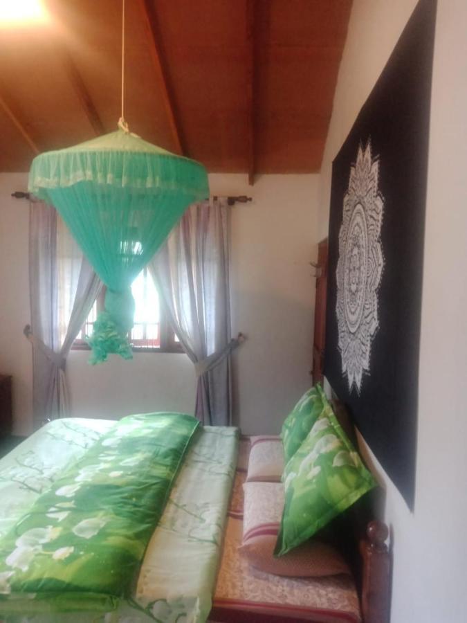 شقة Cozy Heaven نوفارا إيلِيا المظهر الخارجي الصورة